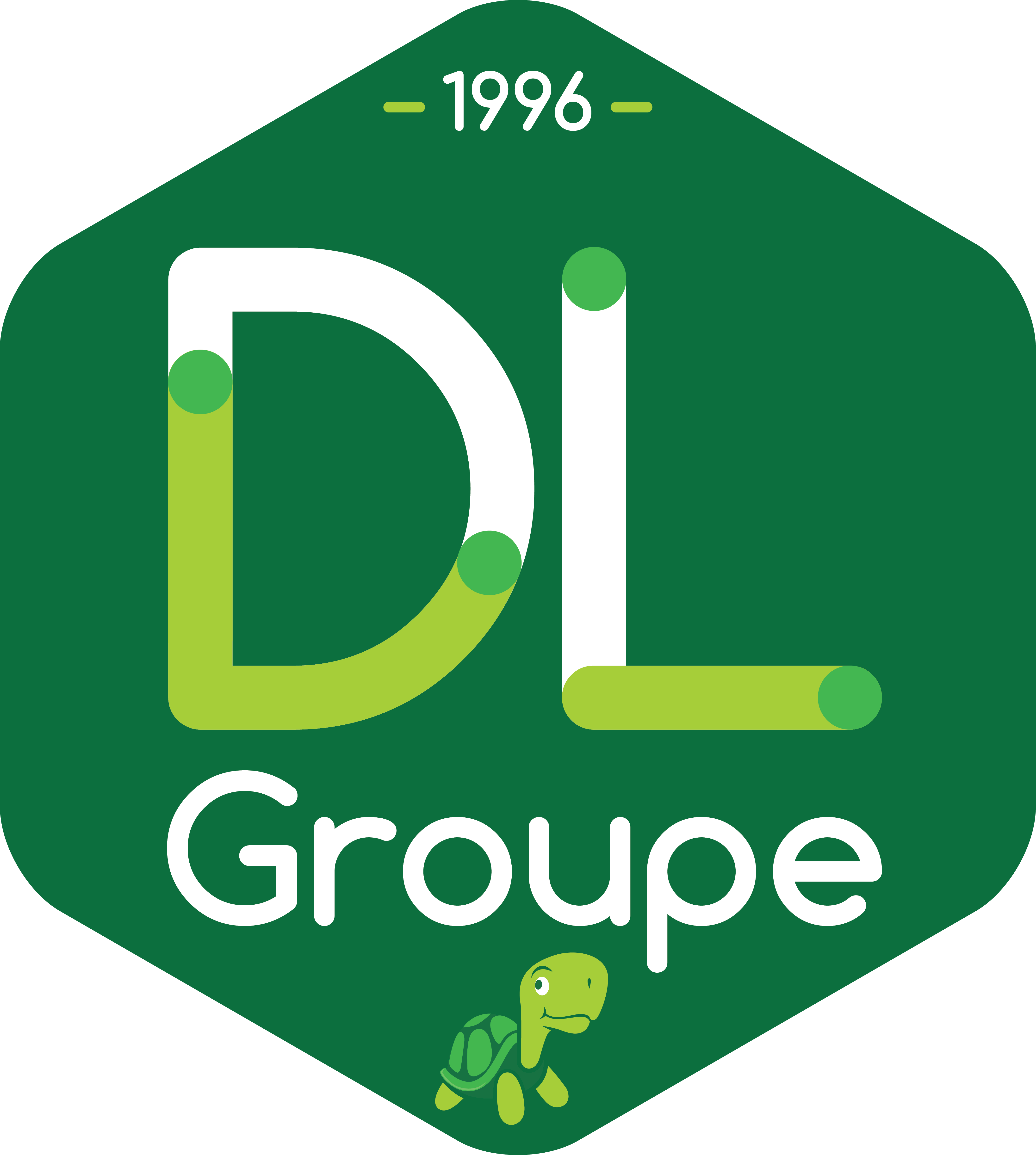 DL Groupe, depuis 1996